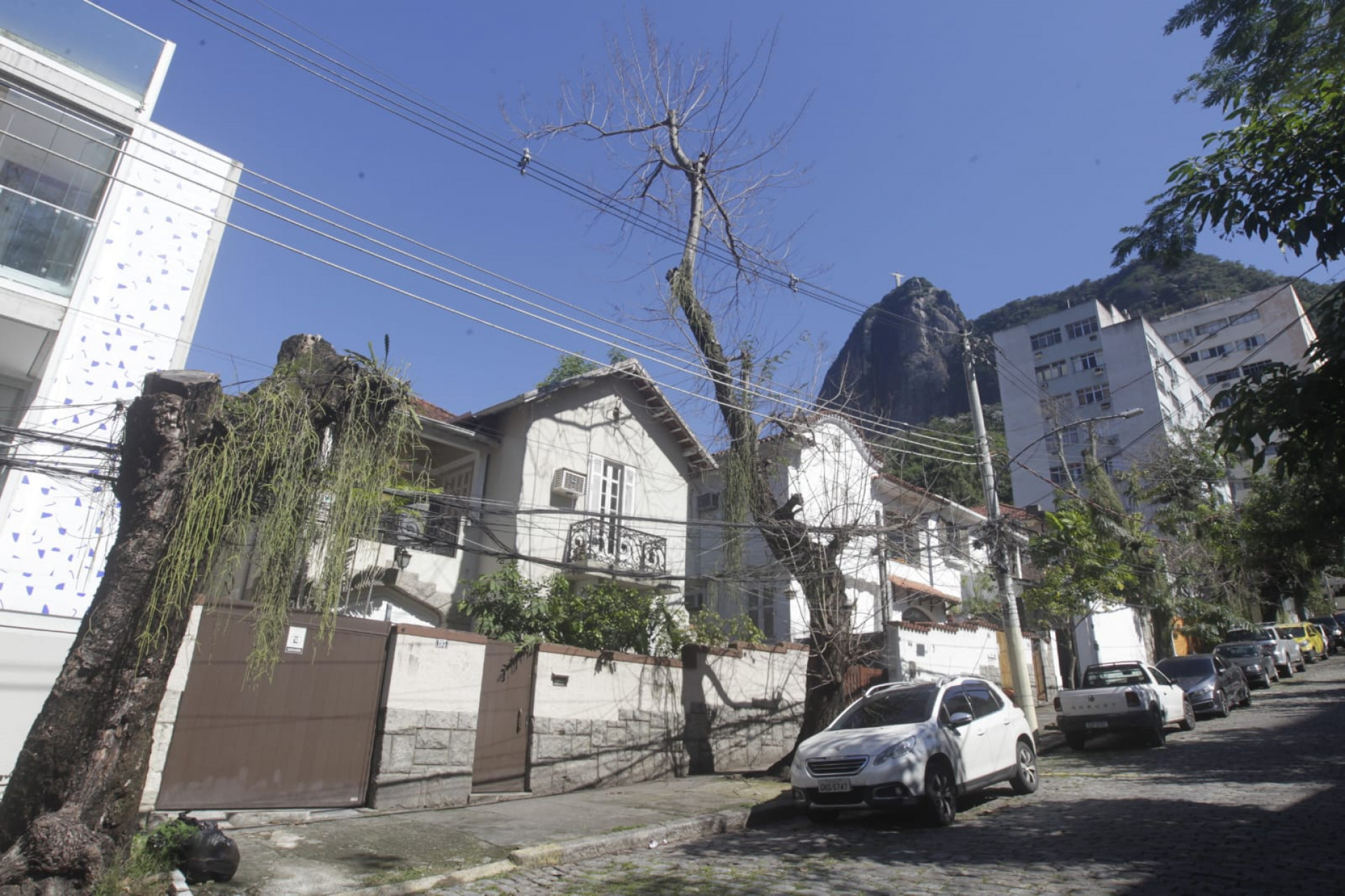 Moradores se reuniram para cobrar soluções para a arborização - Reginaldo Pimenta / Agência O DIA