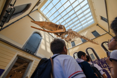 Museu Nacional prorroga temporada de exposições até outubro