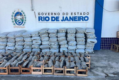 Mais 500 kg de maconha são apreendidos em perseguição na Dutra