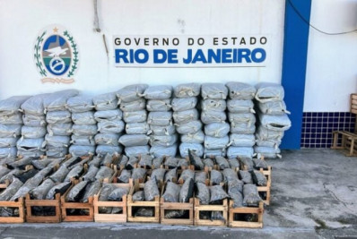 Ação apreende mais de 500 kg de maconha e resulta em tiroteio na Via Dutra, em Itatiaia