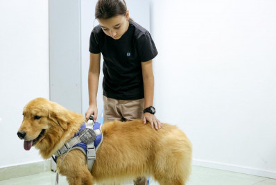 Cães adquiridos pela Prefeitura de Volta Redonda iniciam atendimento de cinoterapia no Laço Azul