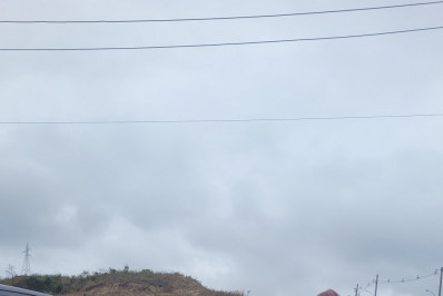 São Gonçalo participa de operação de combate ao desmatamento da Mata Atlântica
