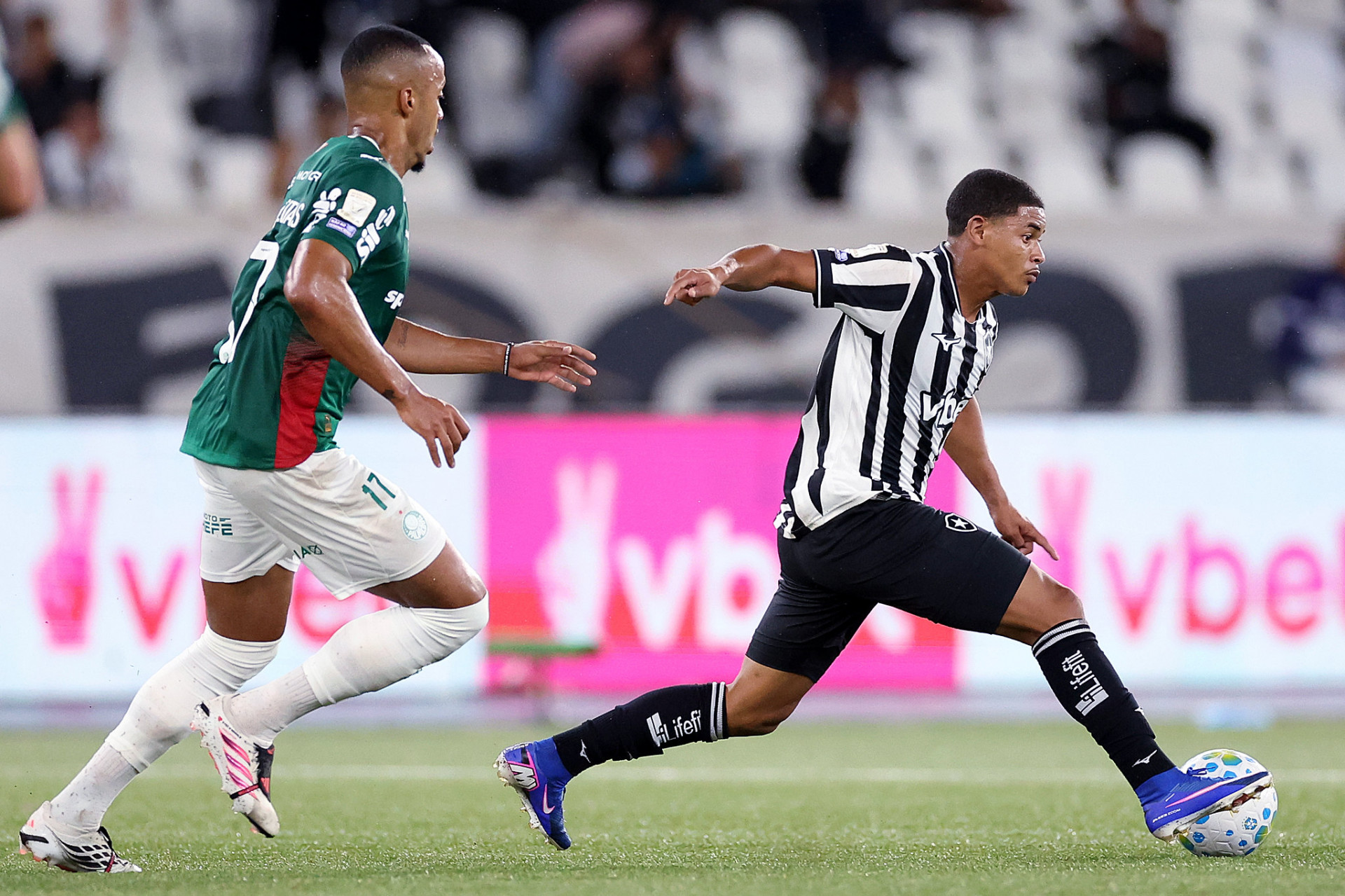 Botafogo enfrentou o Palmeiras, no Nilton Santos, pela 26ª rodada do Brasileirão - Vitor Silva / Botafogo