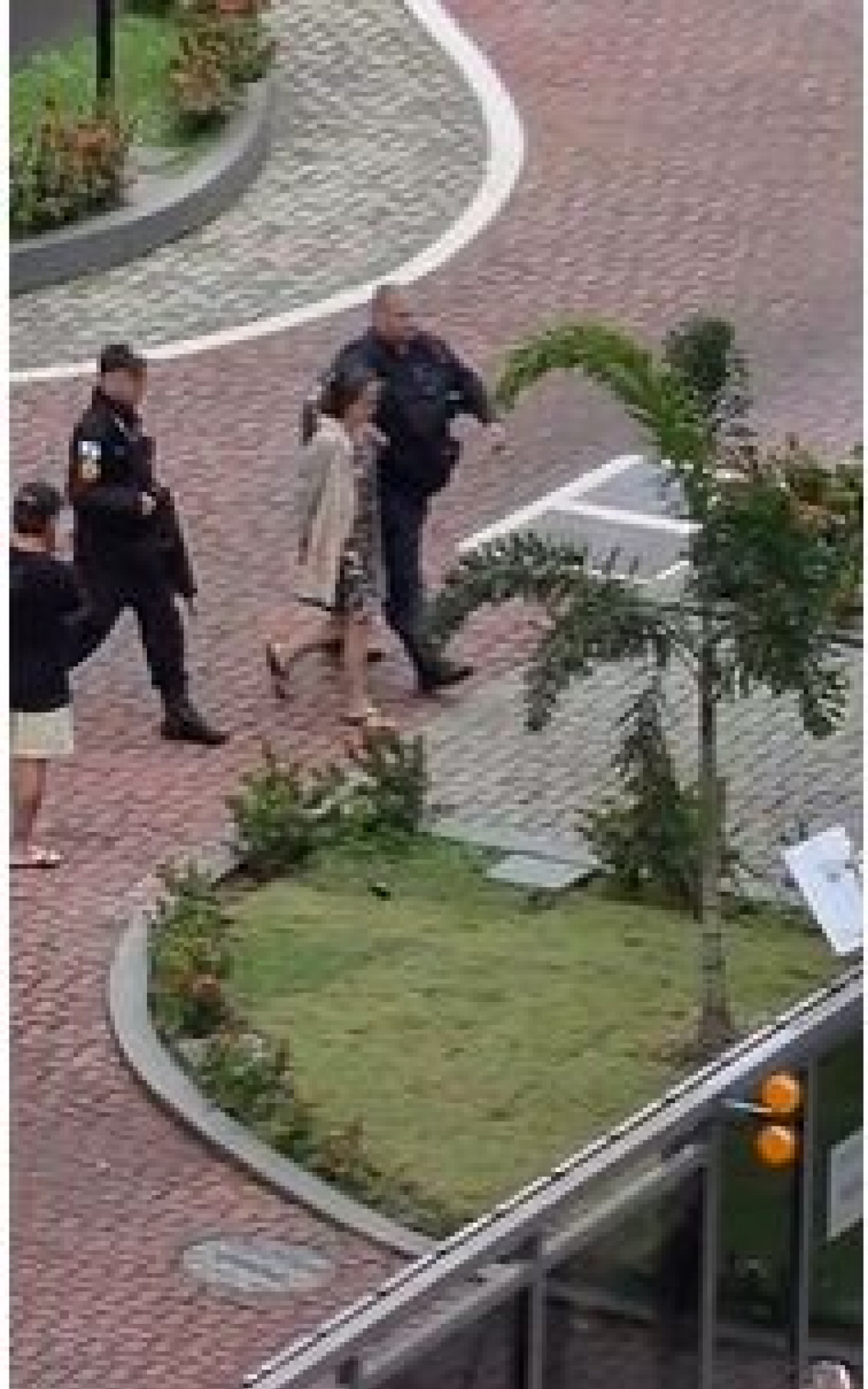 Filha foi presa após esfaquear a matar a própria mãe em condomínio no Recreio - Ana Fernanda Freire