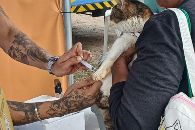 Vigilência Ambiental de Caxias realiza mobilização em bairros da cidade