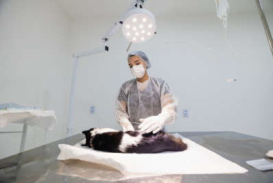 Consultório veterinário de Jaconé realizou mais de 15 mil castrações 