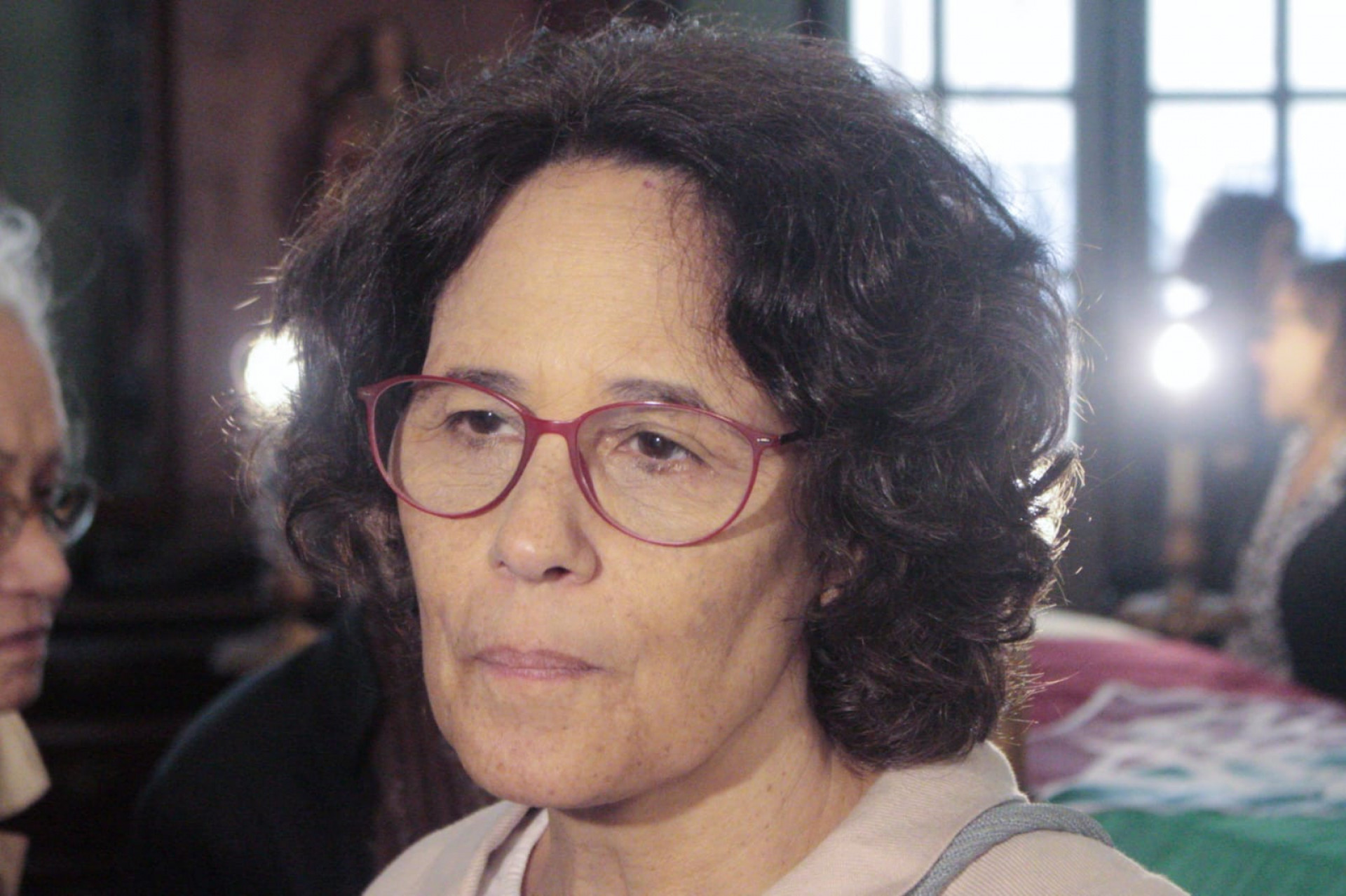 Elisa Ventura destacou que o pai, Zuenir Ventura, deixou um grande legado - Carlos Elias Junior / Agência O Dia