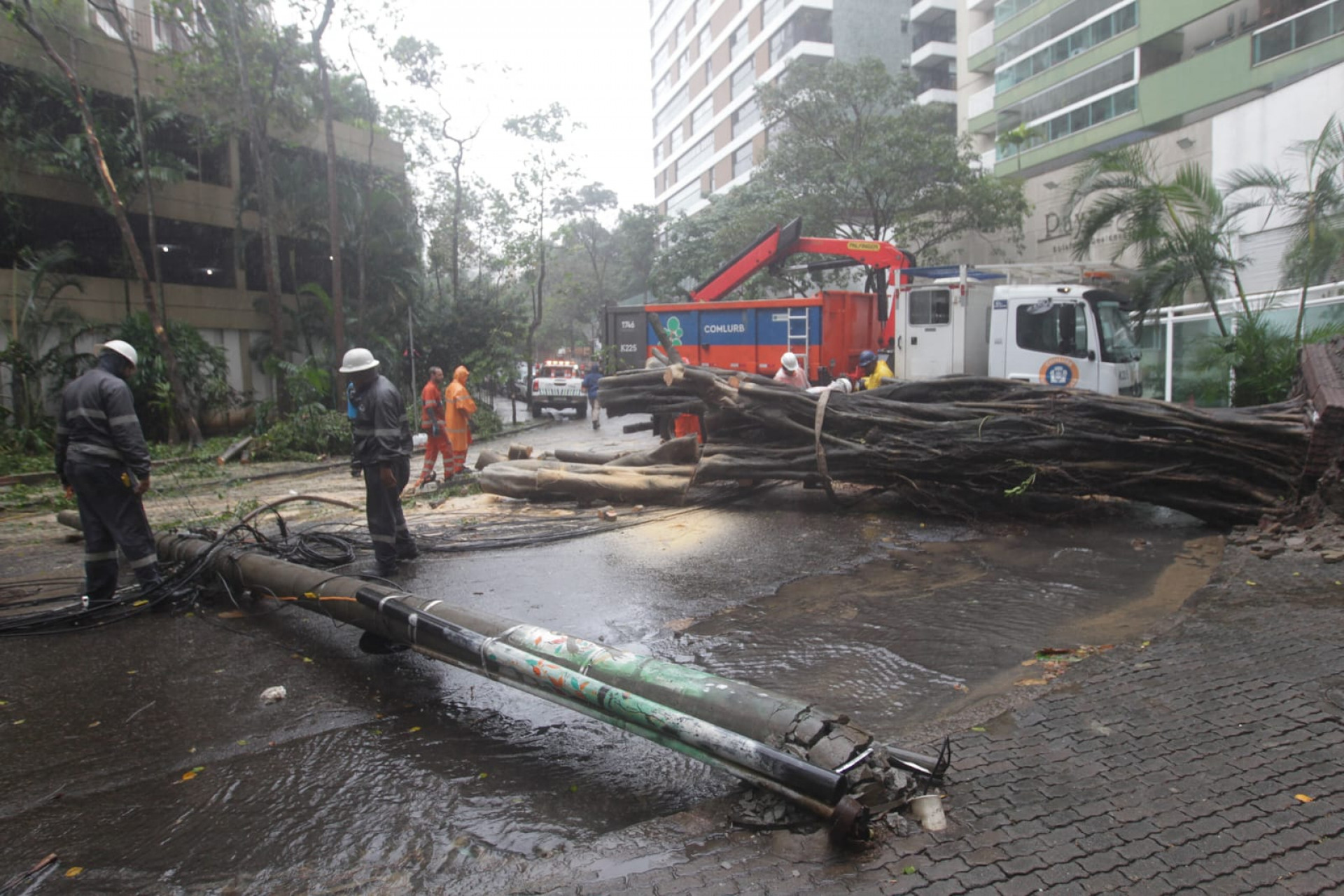 Equipes da Comlurb removem árvores que caiu na Rua Ministro Raul Fernandes, em Botafogo, nesta quarta-feira (23) - Reginaldo Pimenta/Agência O Dia