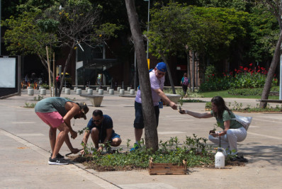 Praça Mauá tem paisagismo revitalizado com 1,2 mil mudas