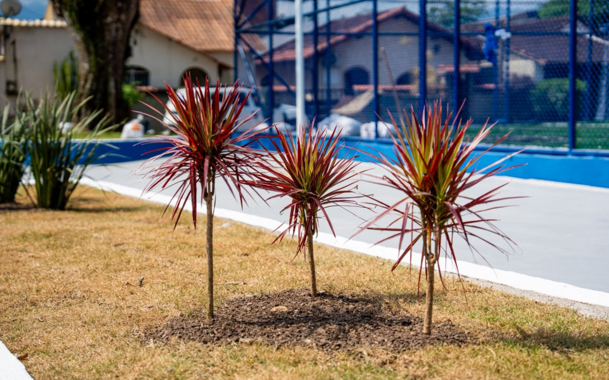 Pra&ccedil;a em Xer&eacute;m &eacute; reformada e ganha novos espa&ccedil;os de esporte - Divulga&ccedil;&atilde;o/Prefeitura de Duque de Caxias
