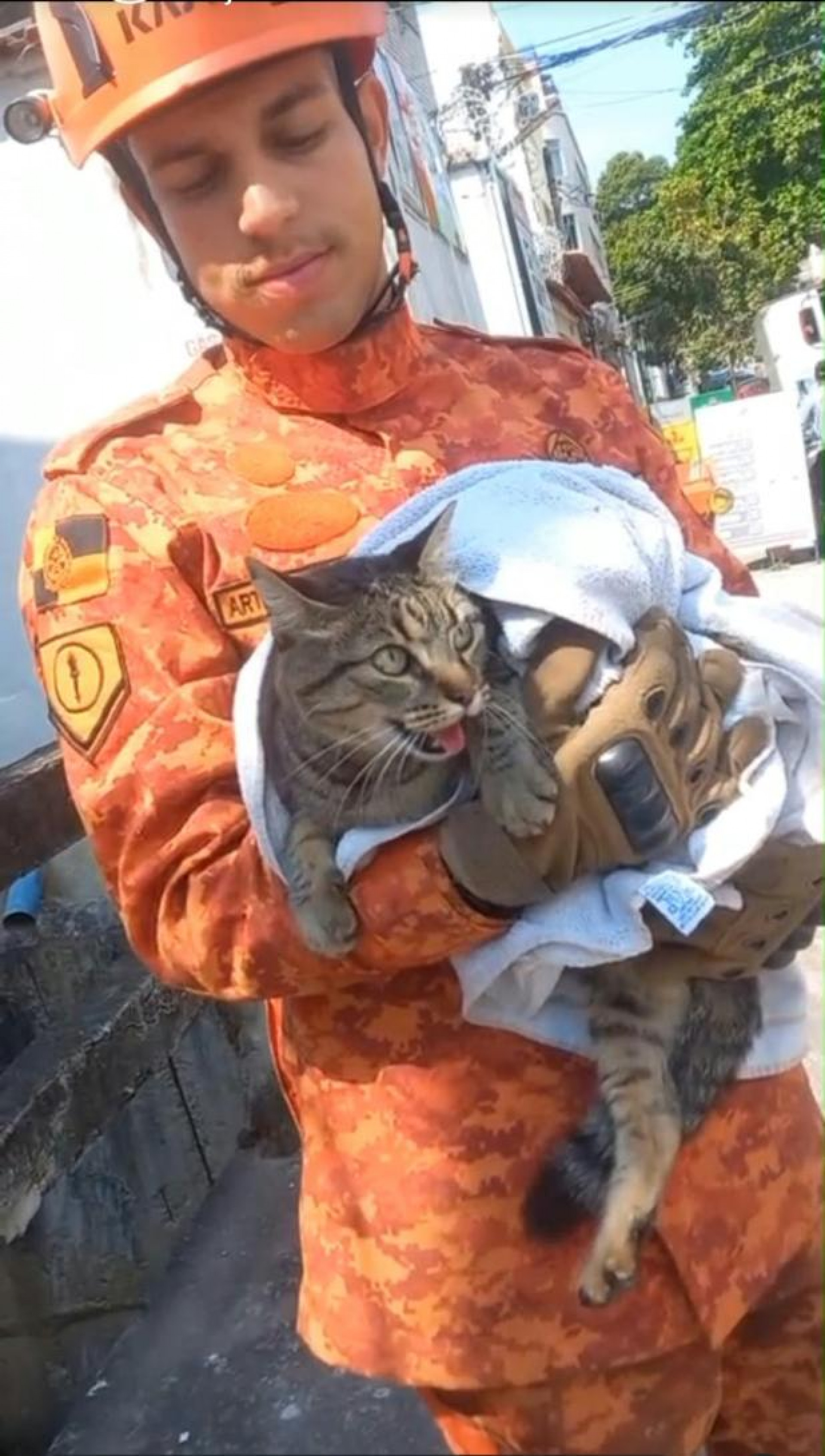 A gatinha Lili foi resgatada na tarde de hoje, por militares dos Bombeiros, no Engenho Novo