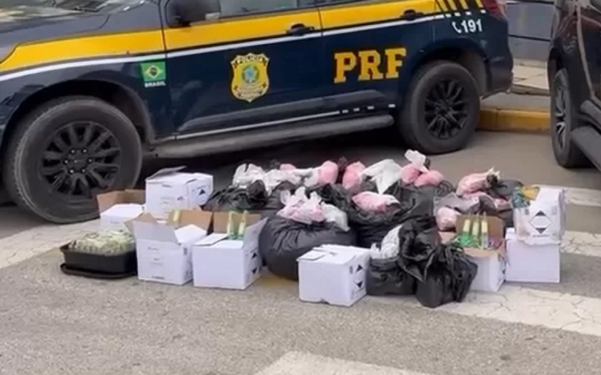 Apreensão feita pela operação conjunta
