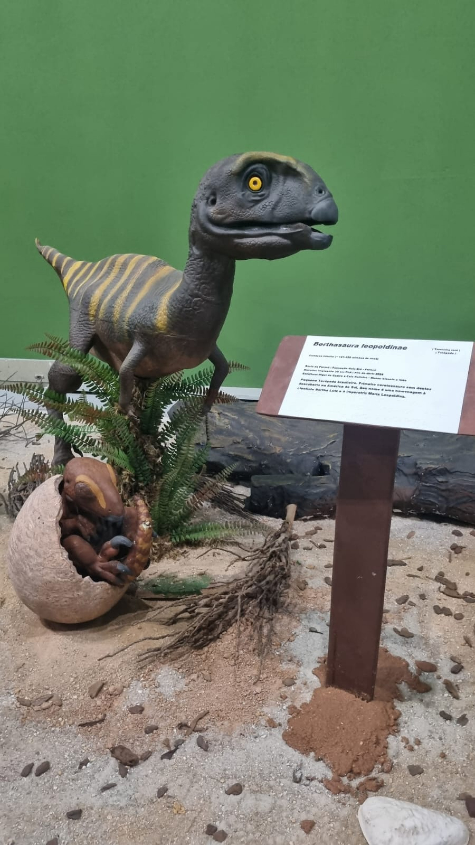 Museu Ciência e Vida tem programação especial para o Dia das Crianças