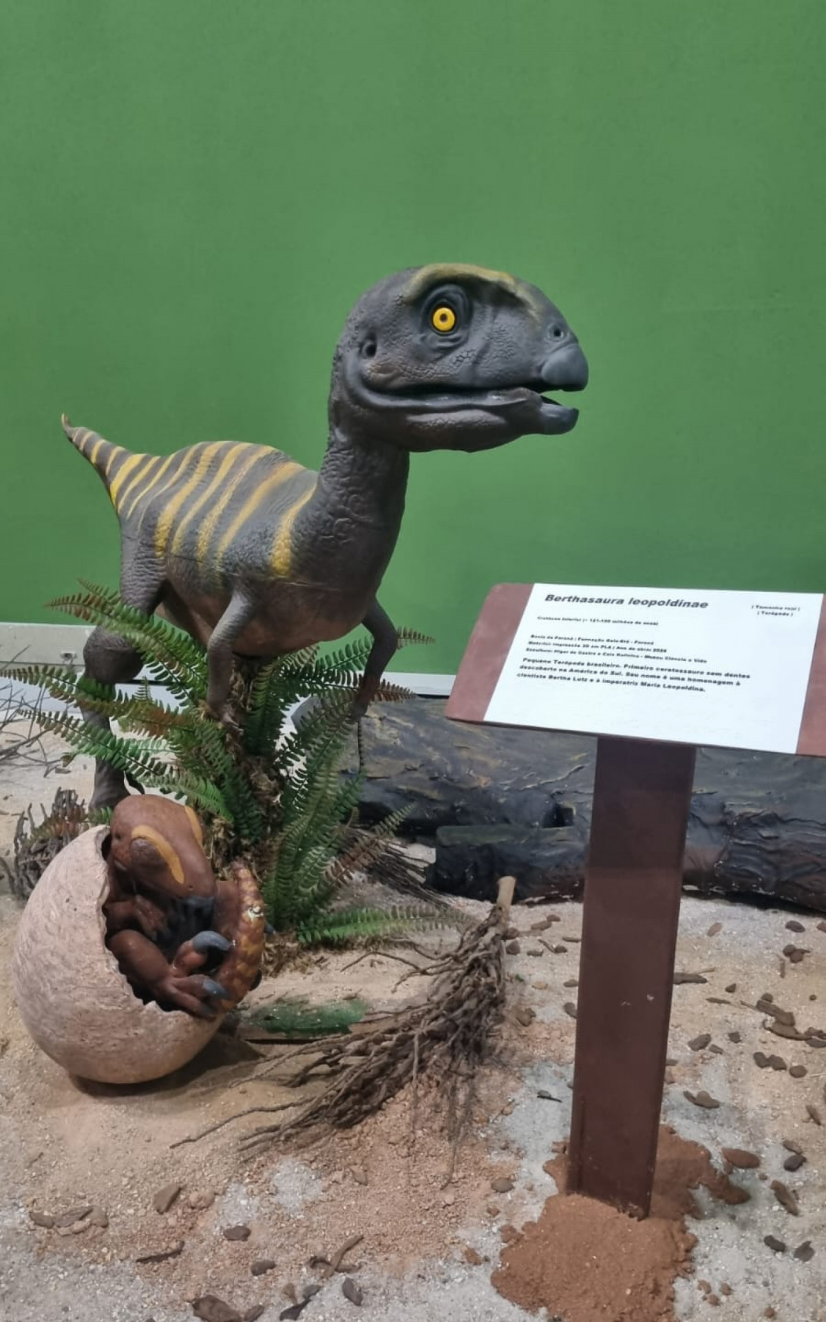 Museu Ci&ecirc;ncia e Vida tem programa&ccedil;&atilde;o especial para o Dia das Crian&ccedil;as - Divulga&ccedil;&atilde;o
