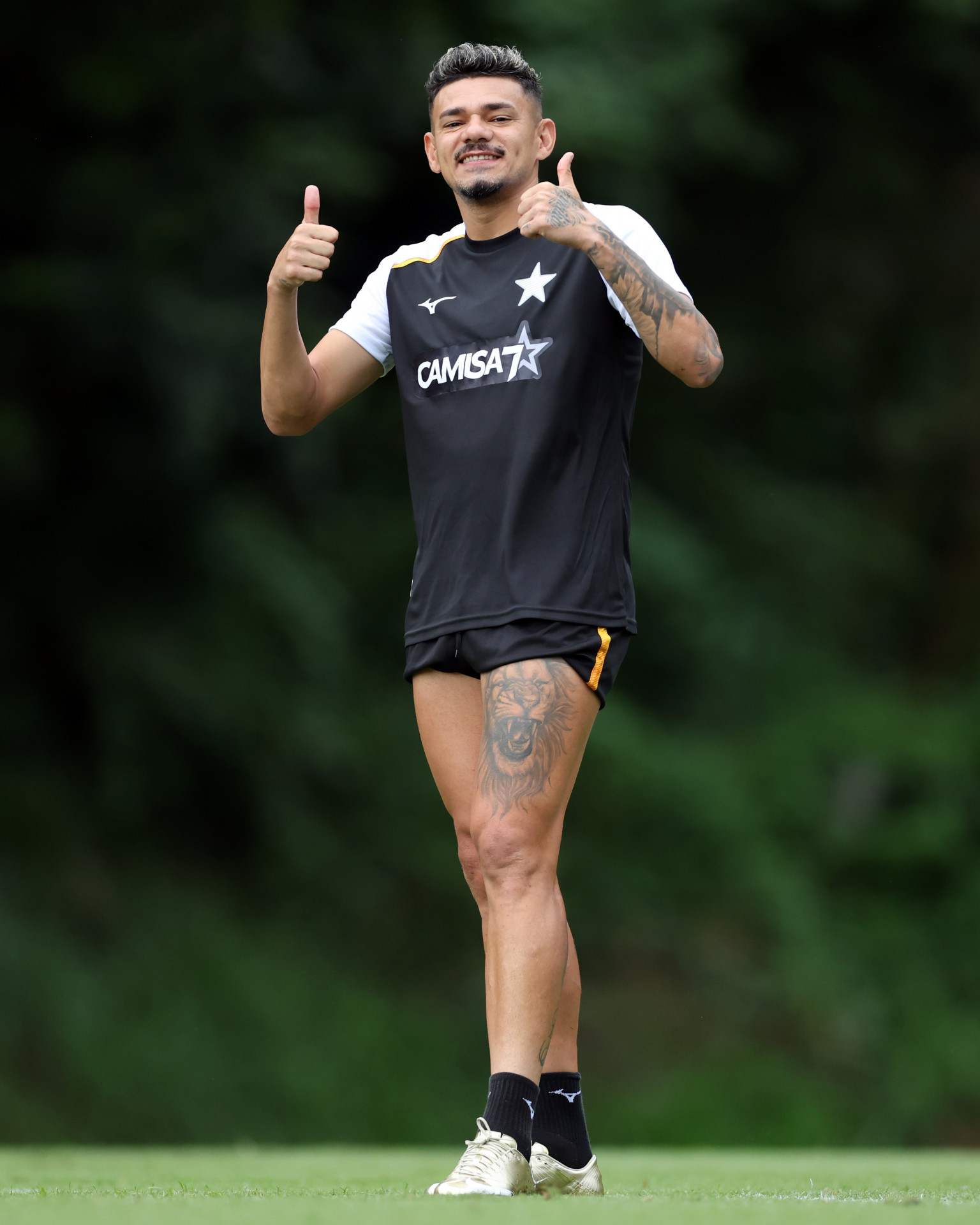 Tiquinho Soares deve ser titular do Botafogo contra a Chape