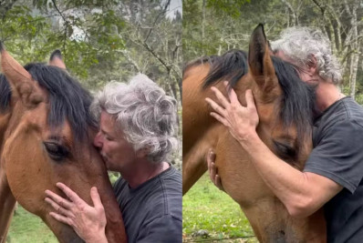 Marcello Novaes encanta fãs ao mostrar momento de carinho com cavalo