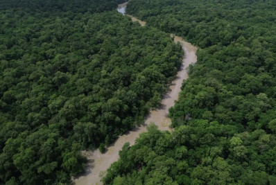 Desmatamento na Amazônia registrou seu nível mais baixo em quase 40 anos