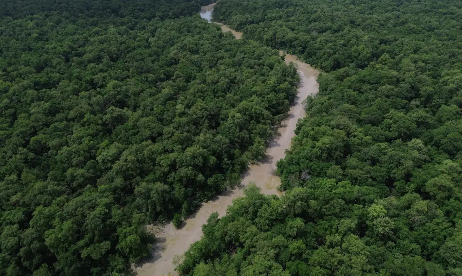 Desmatamento na Amazônia registrou seu nível mais baixo em quase 40 anos
