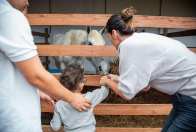 Equoterapia beneficia mais de 120 pacientes em Paracambi