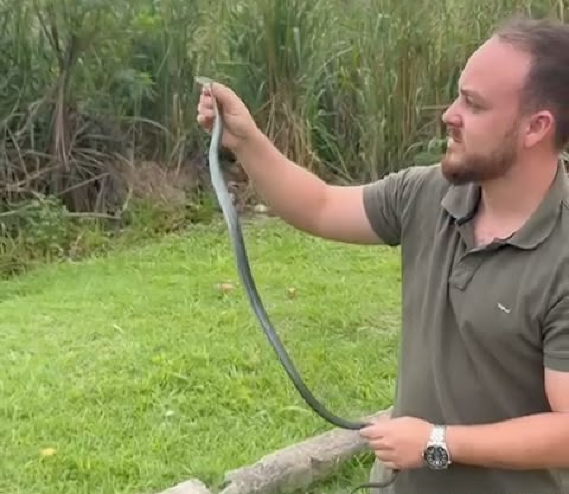 Serpente da espécie limpa-campo é resgatada no bairro Balneário em Araruama