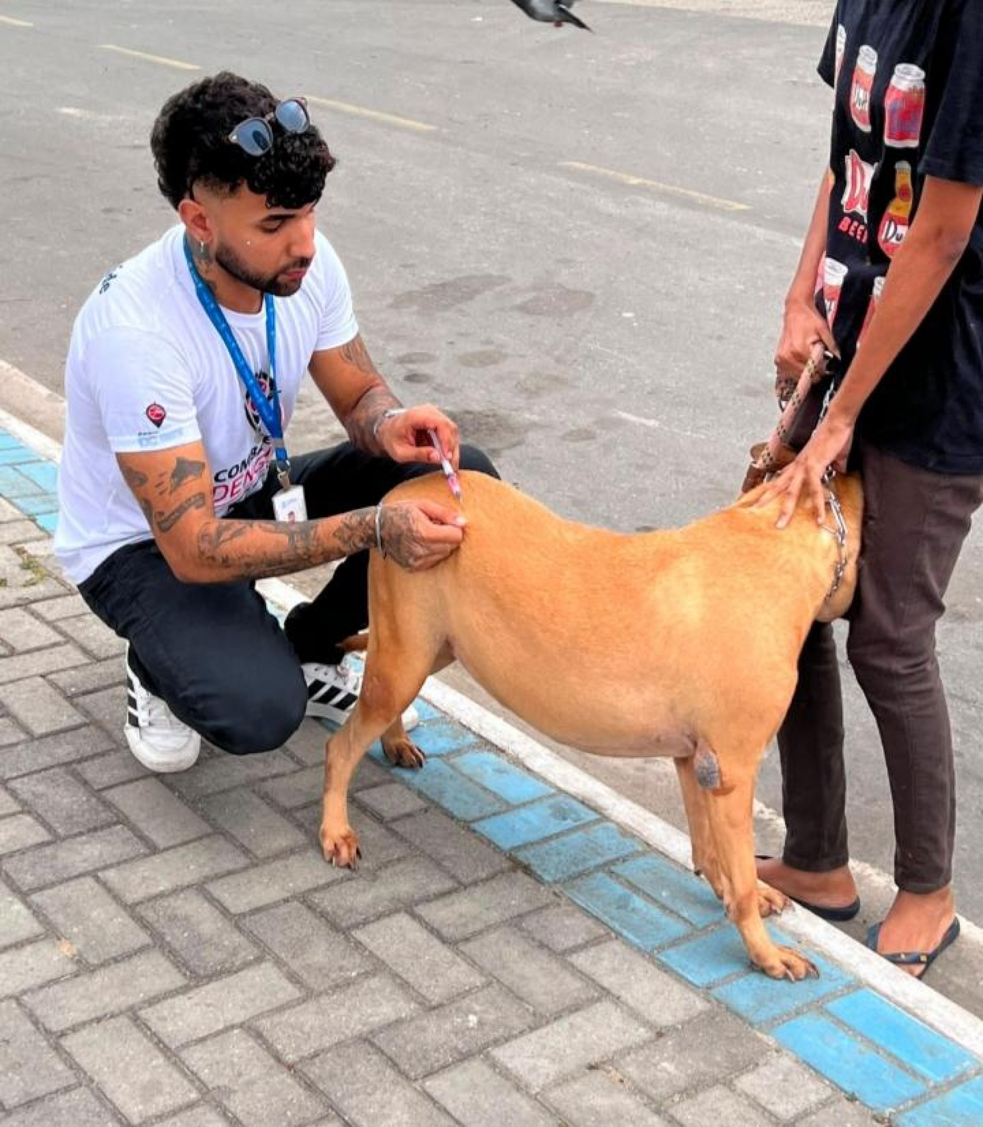 Caxias realiza Dia D da Vacinação Antirrábica para cães e gatos