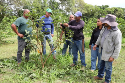 Embrapa vai testar novas culturas para fortalecer o campo em Quissamã