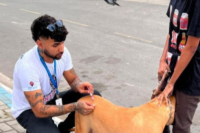 Caxias realiza Dia D da Vacinação Antirrábica para cães e gatos