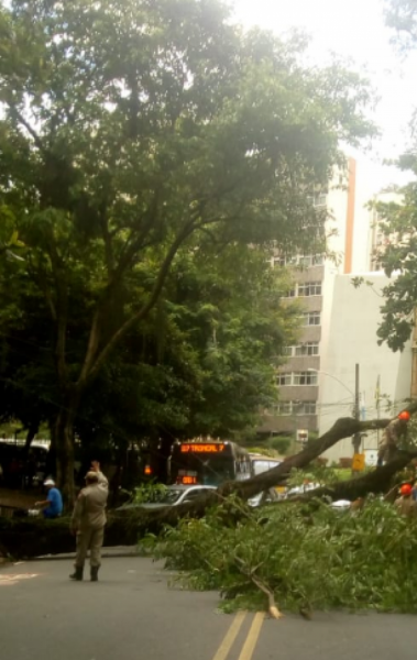 Rua das Laranjeiras, Zona Sul do Rio  - Reprodução