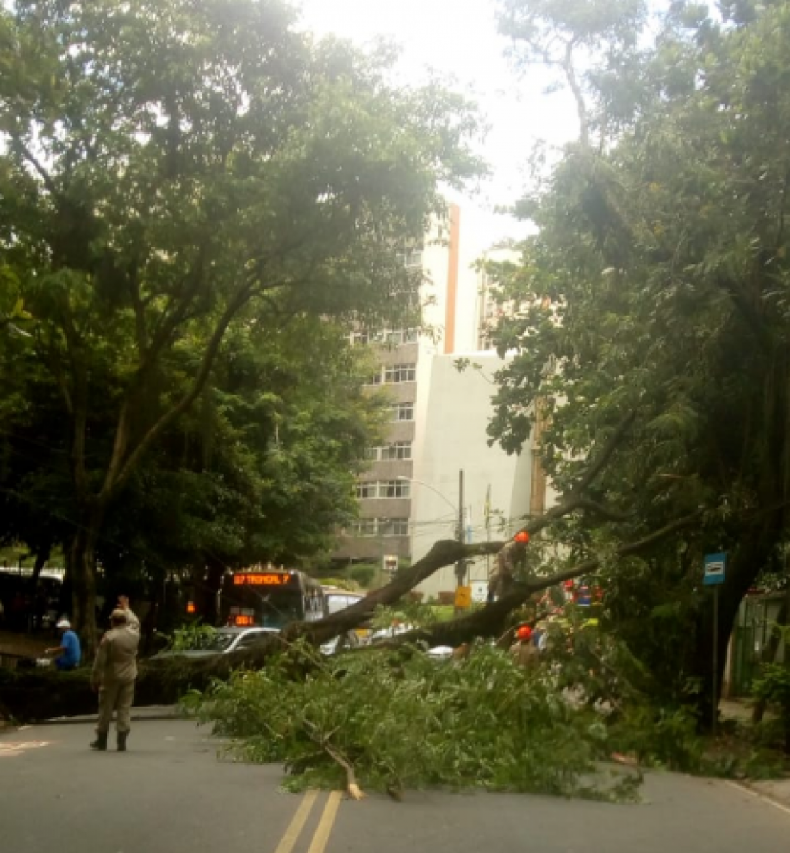 Equipes atuando em Muzema