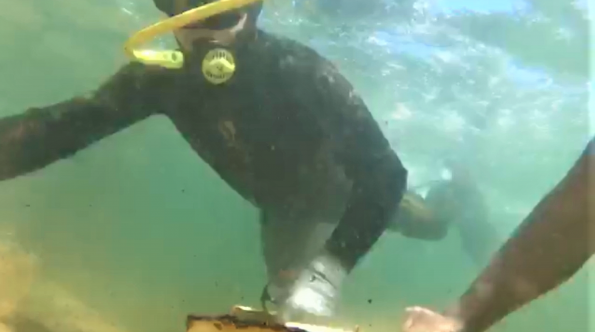 Mergulhadores retiram carcaça de micro-ondas do mar na Enseada de Bananal, em Angra dos Reis