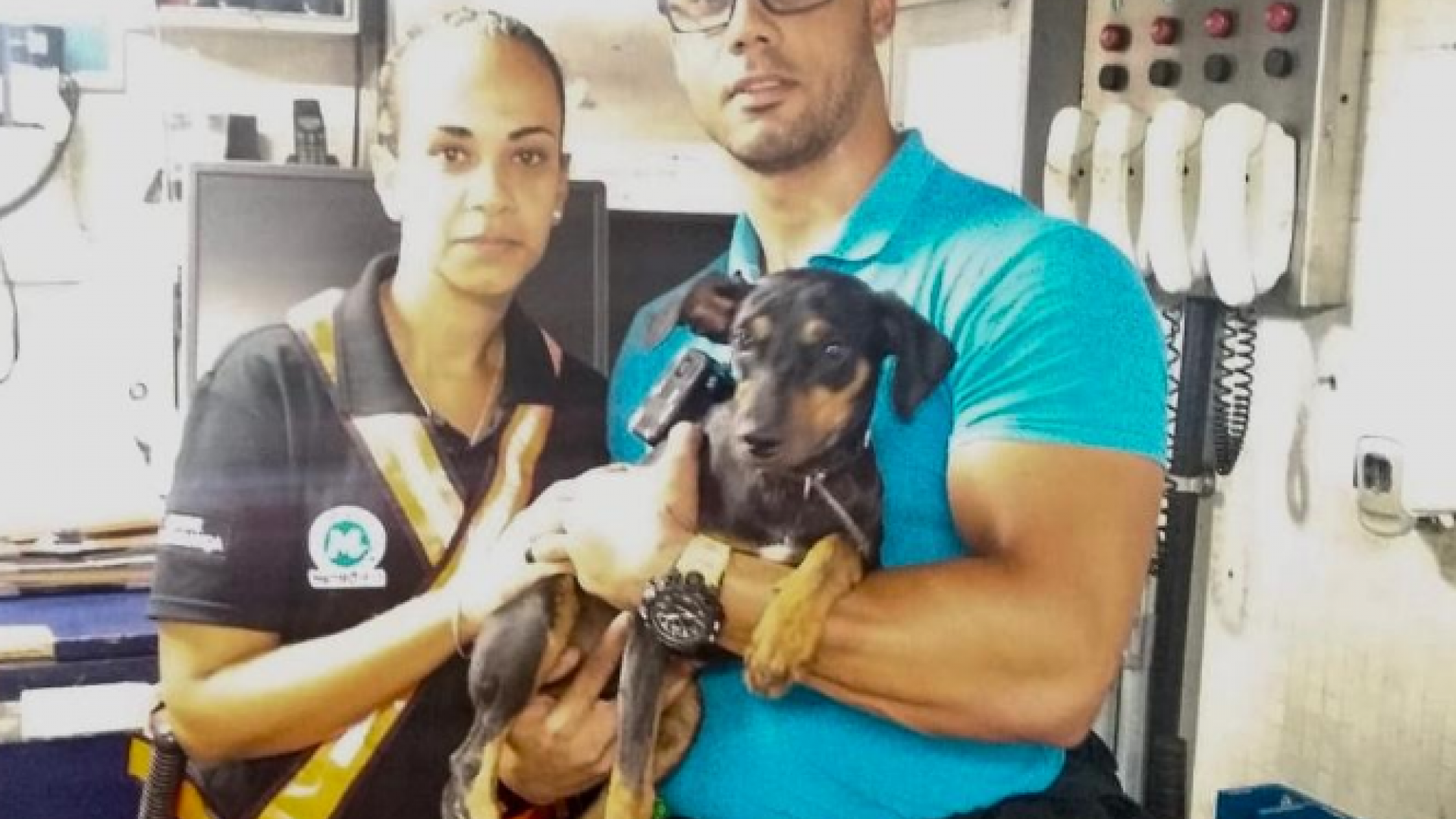 Cachorro foi resgatado ap&oacute;s percorrer 8 km nos trilhos do metr&ocirc;