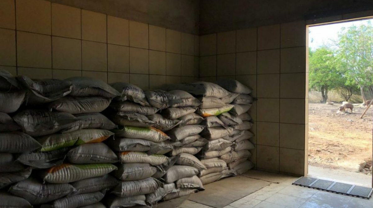 Depósito onde o arroz era estocado fica em meio a galinhas e porcos - Divulgação