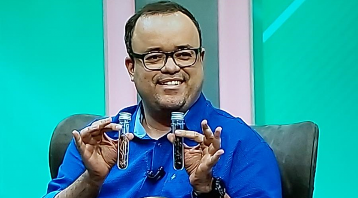 Jornalistas comem grilos e larvas durante programa