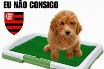 Memes! Torcedores rivais ironizam estreia de Torrent pelo Flamengo com derrota no Brasileiro