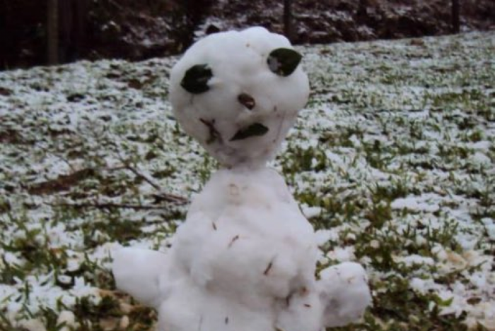 Bonecos de neve brasileiros viram meme nas redes sociais; confira