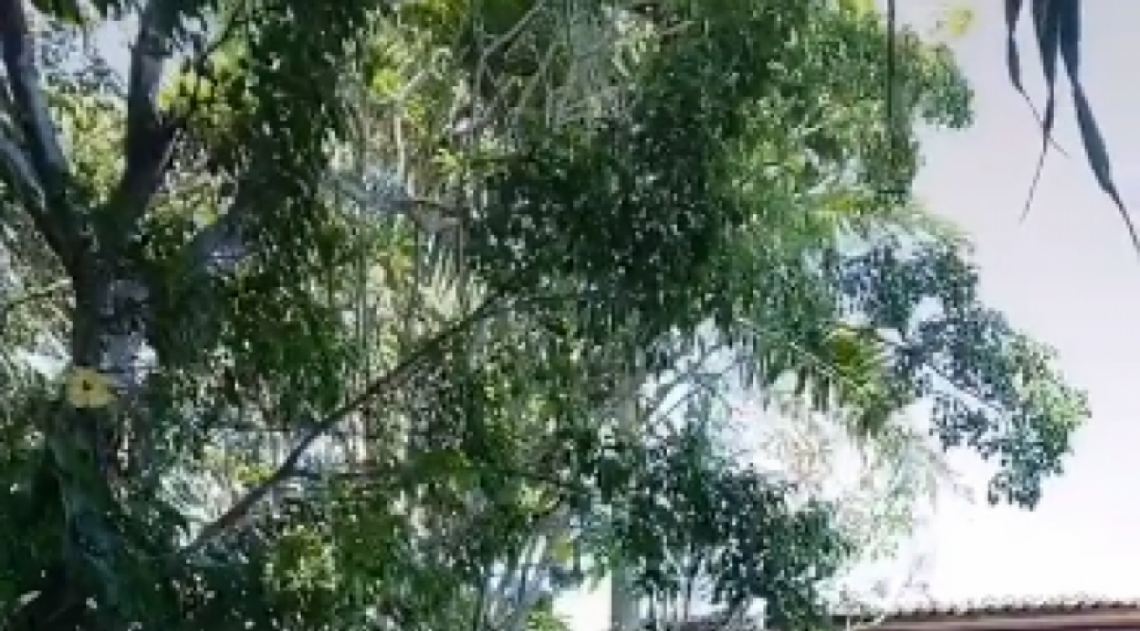 Luisa Sonza dan&ccedil;a de biqu&iacute;ni com o novo namorado, Vit&atilde;o