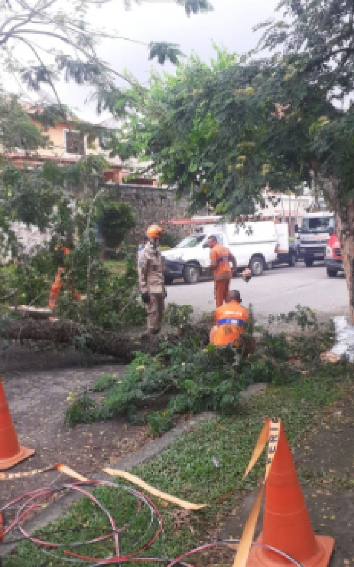 Árvore cai por conta da chuva, nesta sexta-feira, na Estrada da Uruçanga, próximo da R Alto da Serra, no Anil