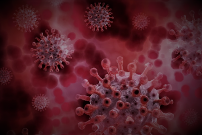 Confira os dados atualizados da pandemia em Vassouras