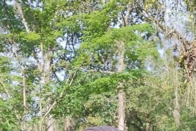 Corpo de idosa encontrada morta com sinais de agressão é enterrado neste domingo