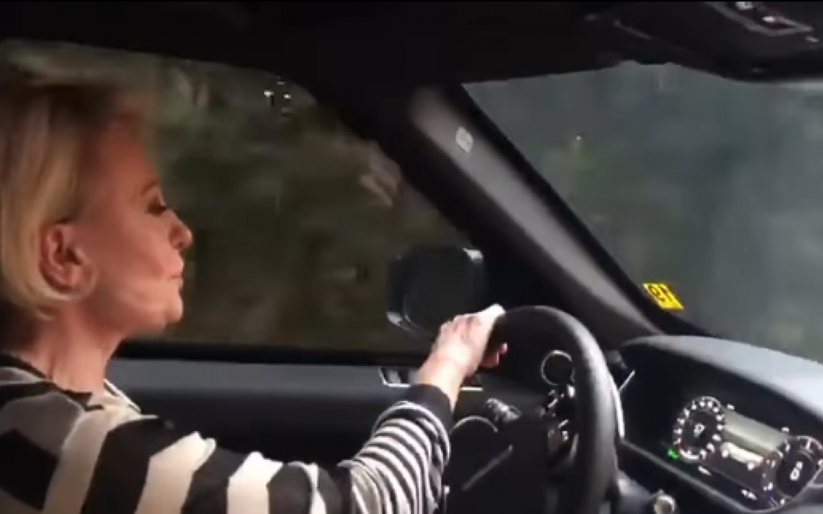 Ana Maria Braga chora ao som de Rita Lee - Reprodução/Instagram