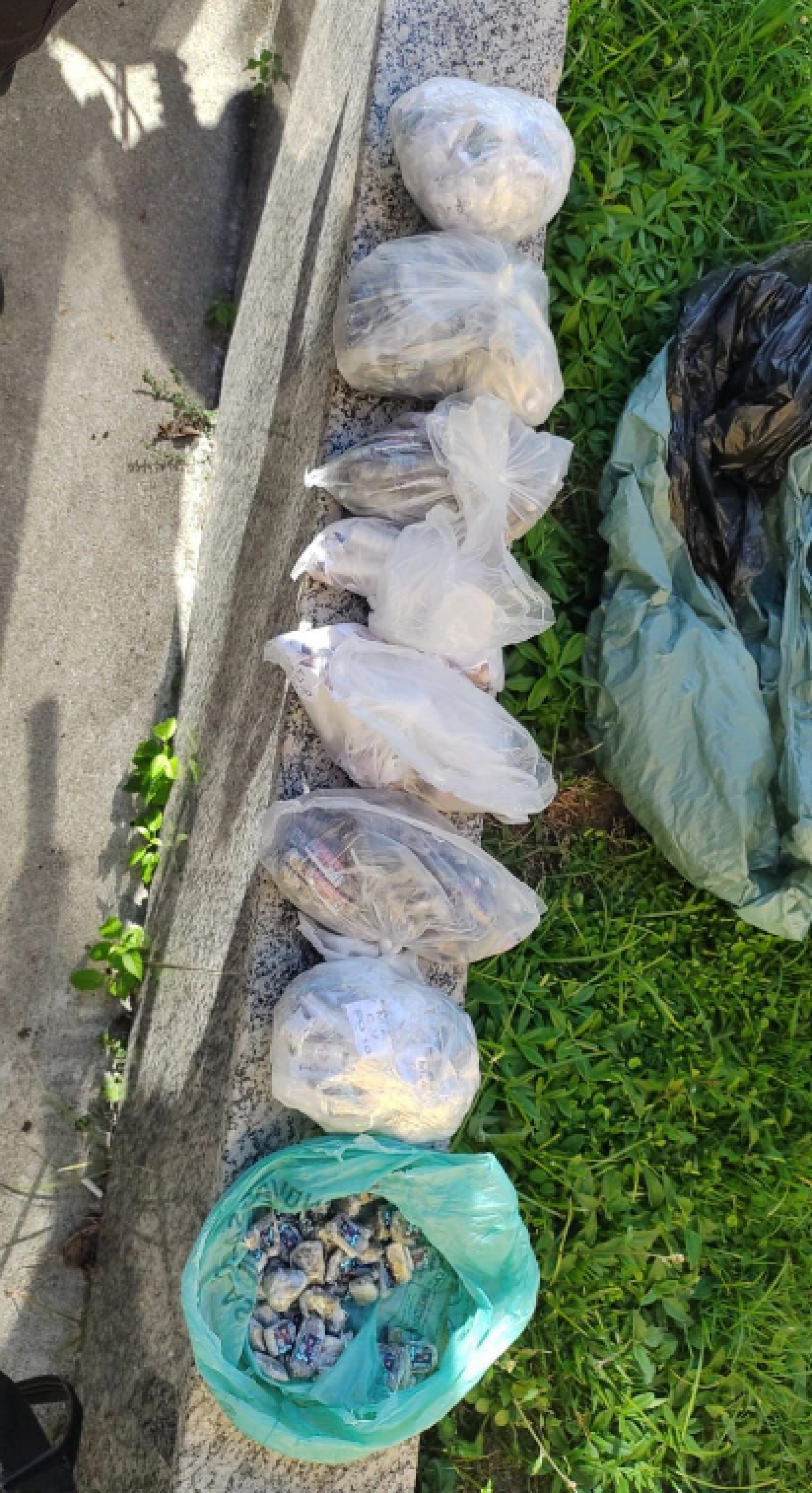 Drogas apreendidas na ação