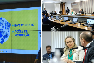 Senadores elogiam atuação de Daniela Carneiro no Ministério do Turismo