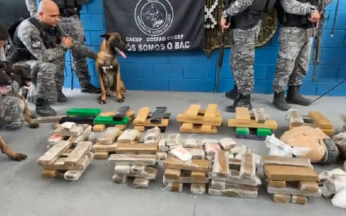 A ação foi realizada através do Batalhão de Operações Policiais Especiais (BOPE) e do Batalhão de Ações com Cães (BAC)