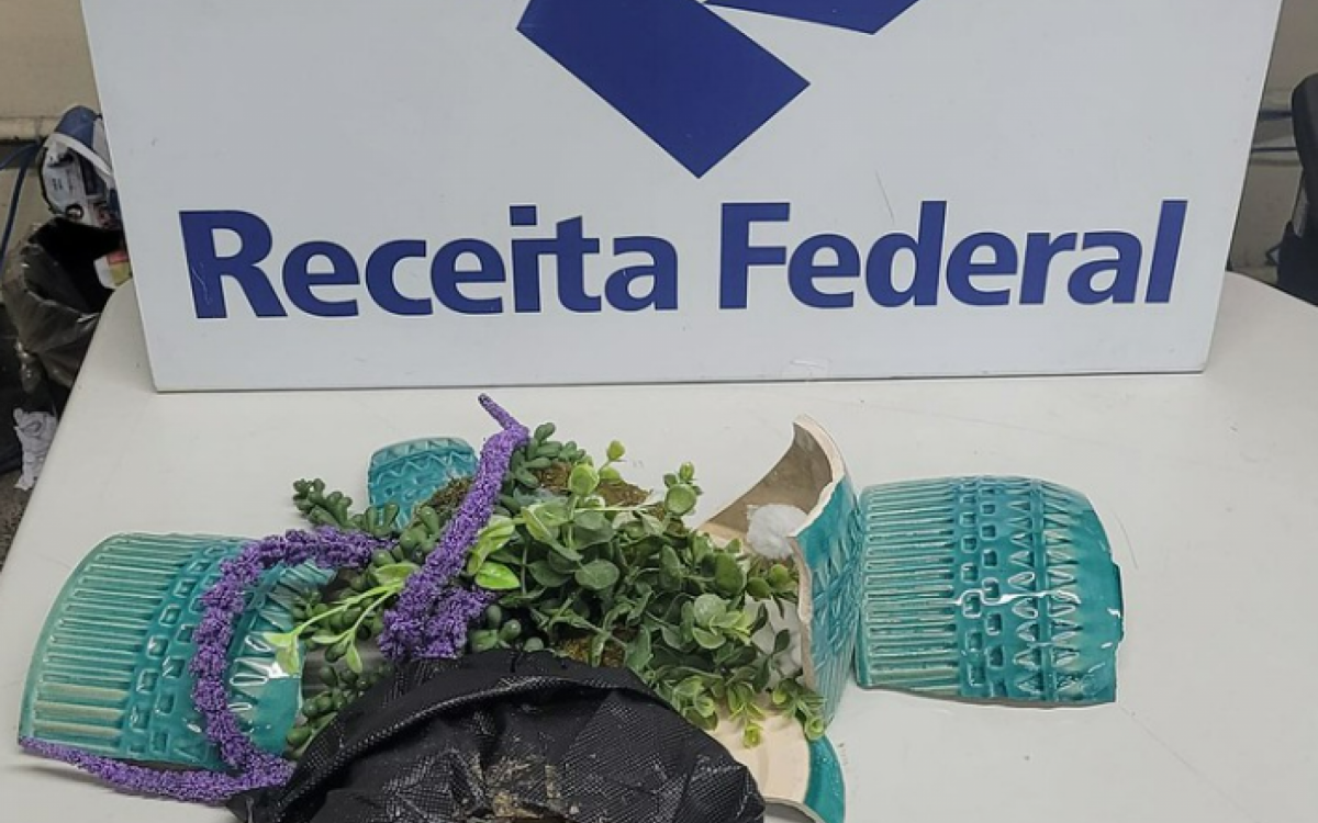 Haxixe vinha dos Estados Unidos com destino a Recife, em Pernambuco