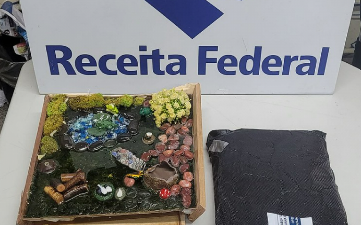 Droga estava dentro de um fundo falso em uma madeira