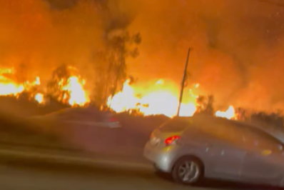 Vídeo: incêndio atinge área de mata na Rodovia Washington Luiz, em Caxias