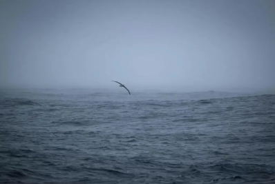 Poluição plástica nos oceanos é menor, mas mais duradoura, diz estudo