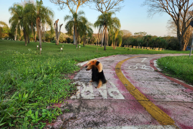 Em meio a polêmica do apagão...