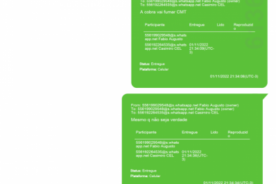 PGR acha mensagens conspiratórias de coronéis da PMDF: 'A cobra vai fumar'