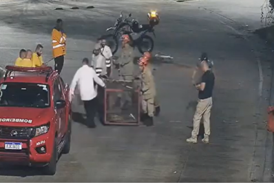 Bombeiros resgatam jacaré no Terminal Alvorada